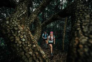 BIB: 
                            <button type="button" onclick="openModal(25679452)" class="btn btn-primary btn-sm float-right btn-popup" data-toggle="modal" data-target=".modal-high-quality">
                        <i class="fas fa-shopping-cart"></i> Add to Cart
                    </button>
                                            <button type="button" onclick="isThisMe(25679452, true)" class="btn btn-success btn-sm float-right btn-popup btn-isme hidden" data-toggle="tooltip" data-placement="bottom" title="นี่คือรูปของคุณใช่ไหม คลิกที่นี่เพื่อเอาเข้าอัลบั้ม">
                        <i class="fas fa-plus"></i> Add to album
                    </button>
                    <button type="button" onclick="isThisMe(25679452, false)" class="btn btn-warning btn-sm float-right btn-popup btn-isnotme hidden">
                        <i class="fas fa-ban"></i> Remove from album
                    </button>